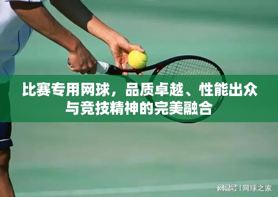 比賽專用網(wǎng)球，品質(zhì)卓越、性能出眾與競技精神的完美融合