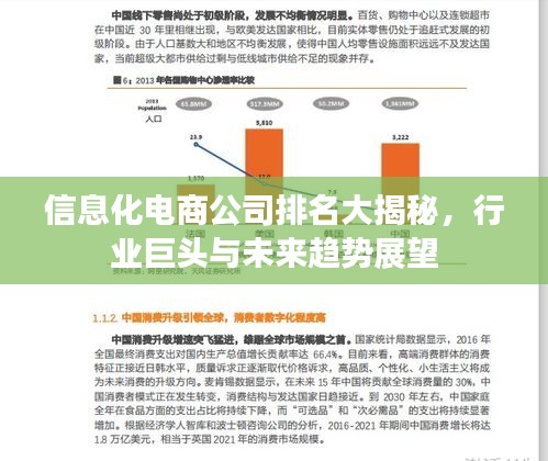 信息化電商公司排名大揭秘，行業(yè)巨頭與未來趨勢展望