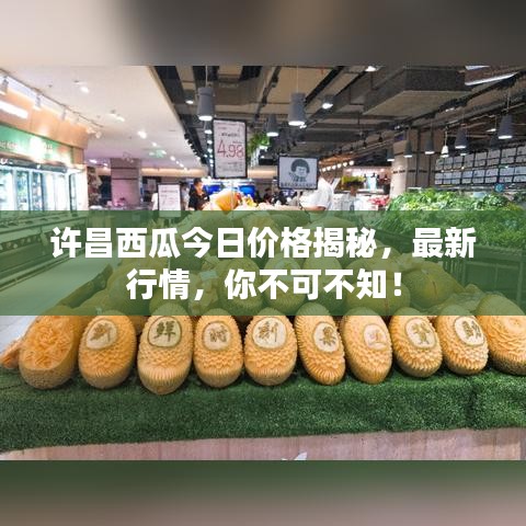許昌西瓜今日價格揭秘，最新行情，你不可不知！