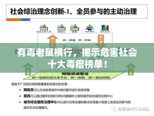 有毒老鼠橫行，揭示危害社會(huì)十大毒瘤榜單！
