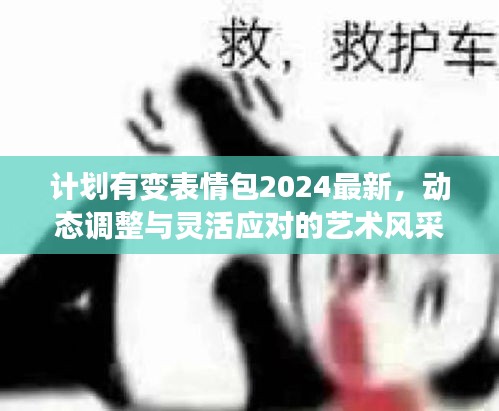 計(jì)劃有變表情包2024最新，動(dòng)態(tài)調(diào)整與靈活應(yīng)對(duì)的藝術(shù)風(fēng)采