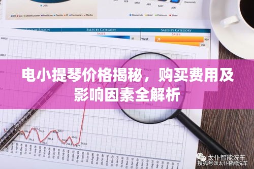 電小提琴價(jià)格揭秘，購買費(fèi)用及影響因素全解析