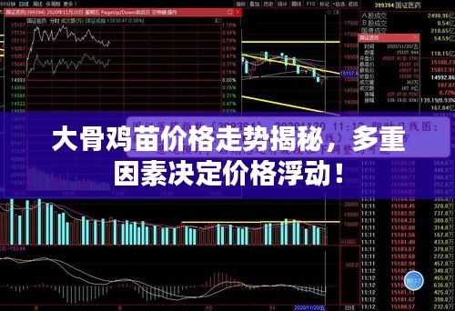 大骨雞苗價(jià)格走勢揭秘，多重因素決定價(jià)格浮動(dòng)！