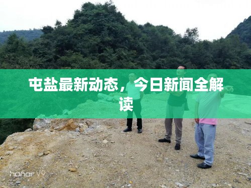 屯鹽最新動(dòng)態(tài)，今日新聞全解讀