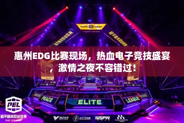 惠州EDG比賽現(xiàn)場，熱血電子競技盛宴，激情之夜不容錯(cuò)過！