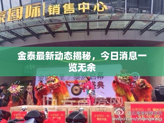 金泰最新動(dòng)態(tài)揭秘，今日消息一覽無(wú)余