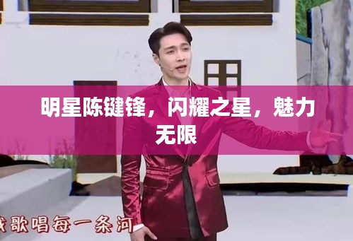 明星陳鍵鋒，閃耀之星，魅力無(wú)限