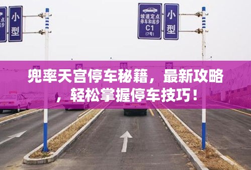 兜率天宮停車秘籍，最新攻略，輕松掌握停車技巧！