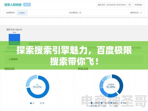 探索搜索引擎魅力，百度極限搜索帶你飛！