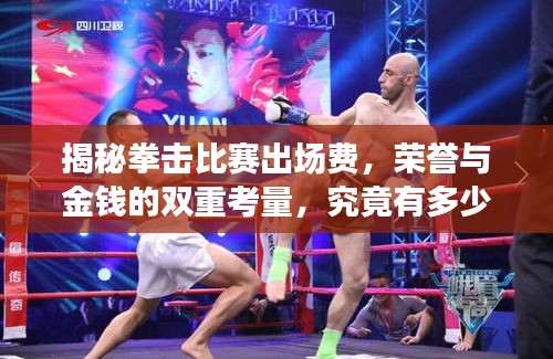 揭秘拳擊比賽出場(chǎng)費(fèi)，榮譽(yù)與金錢(qián)的雙重考量，究竟有多少？