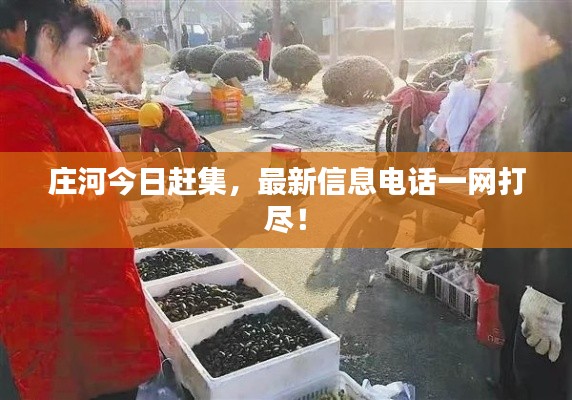 莊河今日趕集，最新信息電話一網(wǎng)打盡！