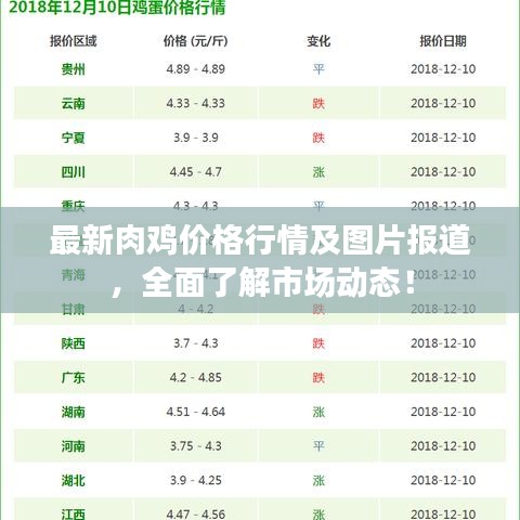 最新肉雞價(jià)格行情及圖片報(bào)道，全面了解市場(chǎng)動(dòng)態(tài)！