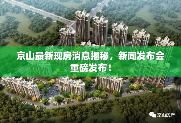 京山最新現(xiàn)房消息揭秘，新聞發(fā)布會(huì)重磅發(fā)布！